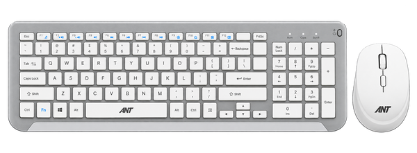 WK250 Wireless Keyboard & Mouse Combo - White Silver