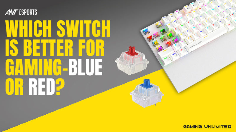 Blue Switch vs Red Switch: Which Mechanical Keyboard Is Right for You?