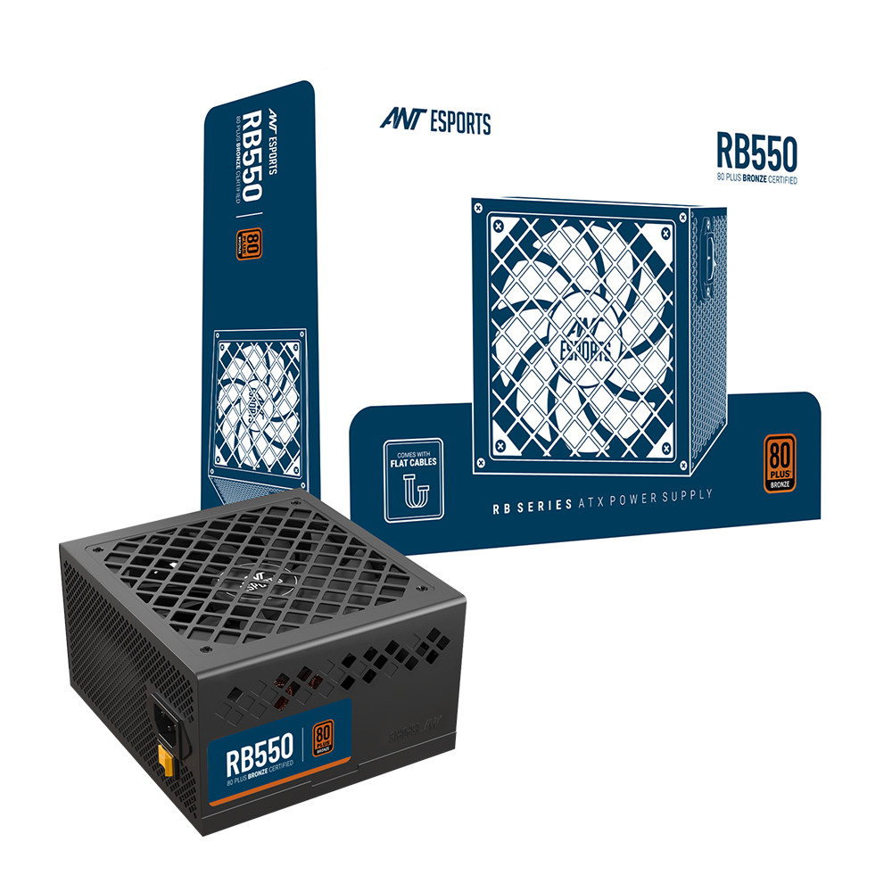 RB550 Non Modular High Efficiency Power Supply