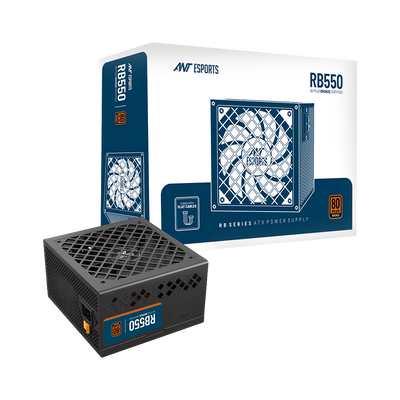 RB550 Non Modular High Efficiency Power Supply