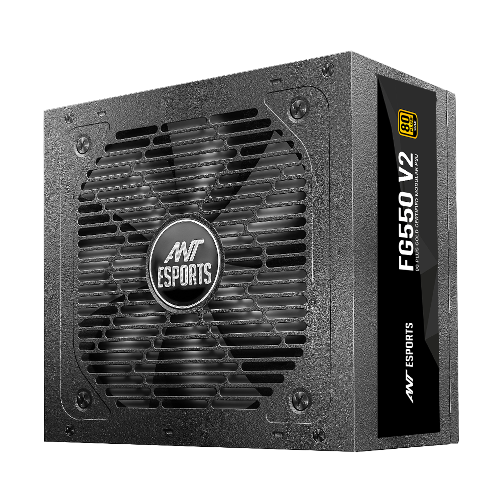 FG550 V2 80 Plus Gold Full Modular Power Supply Unit