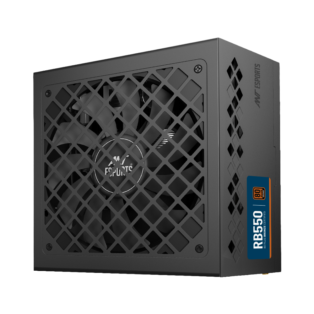 RB550 Non Modular High Efficiency Power Supply