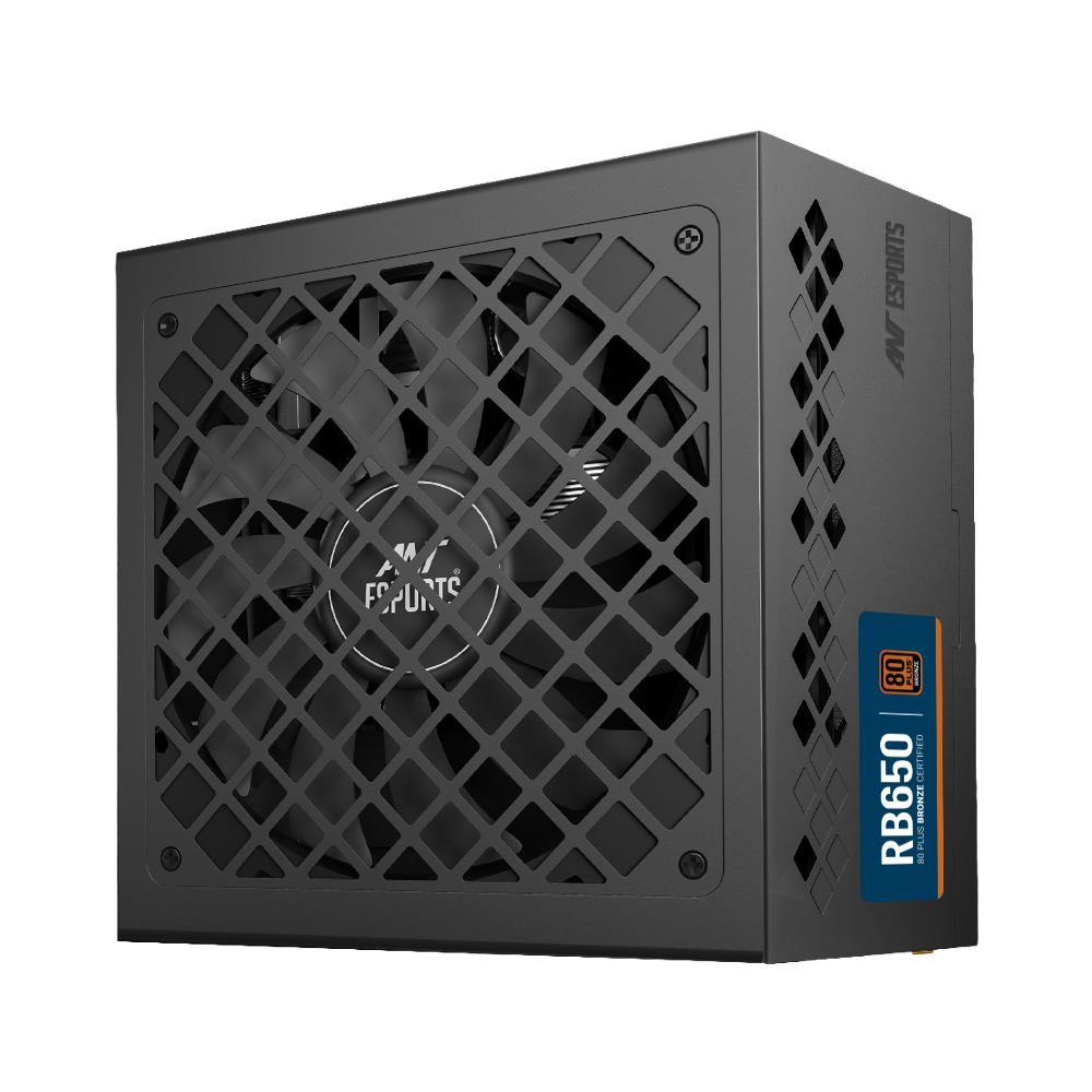RB650 Non Modular High Efficiency Power Supply