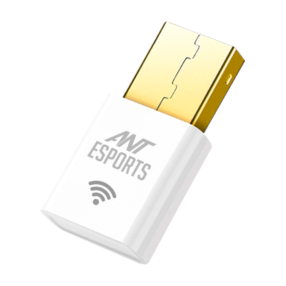 AE300D WIRELESS USB DONGLE