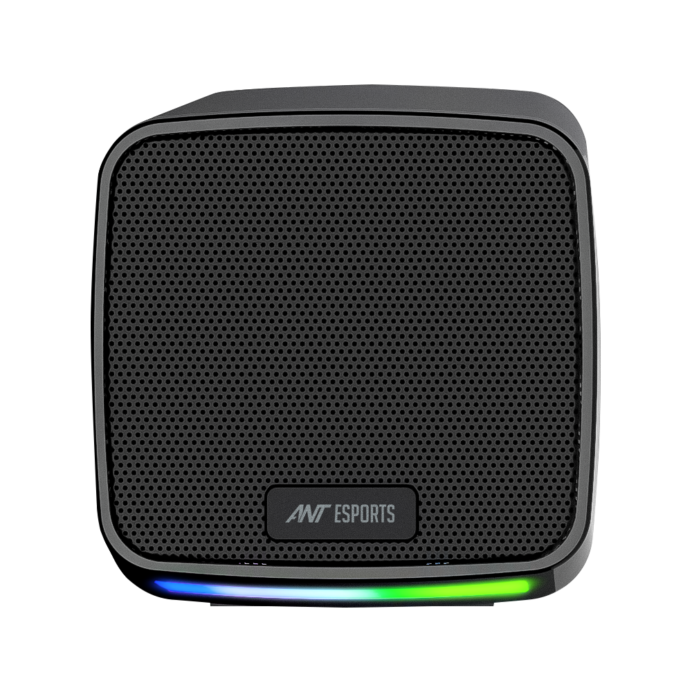 GS195 Multimedia Speaker - Black