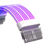 NEON GLOW 24 PIN