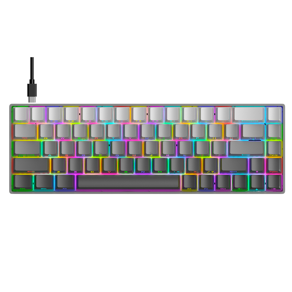 Apex 100 Mechanical Keyboard - Gray Gradient