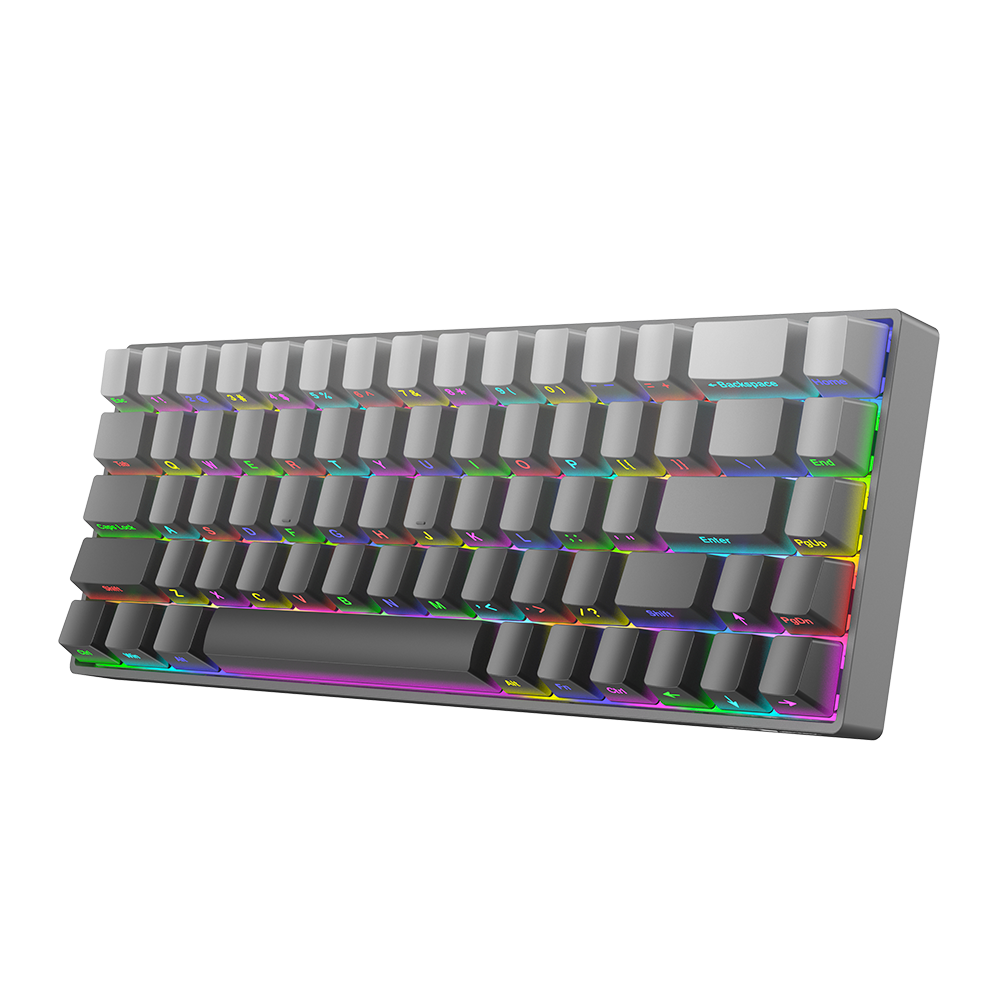 Apex 100 Mechanical Keyboard - Gray Gradient