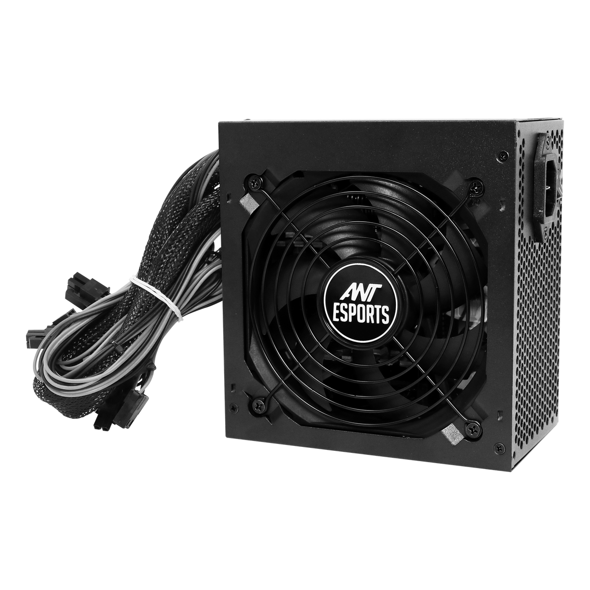 VS650L Power Supply Unit