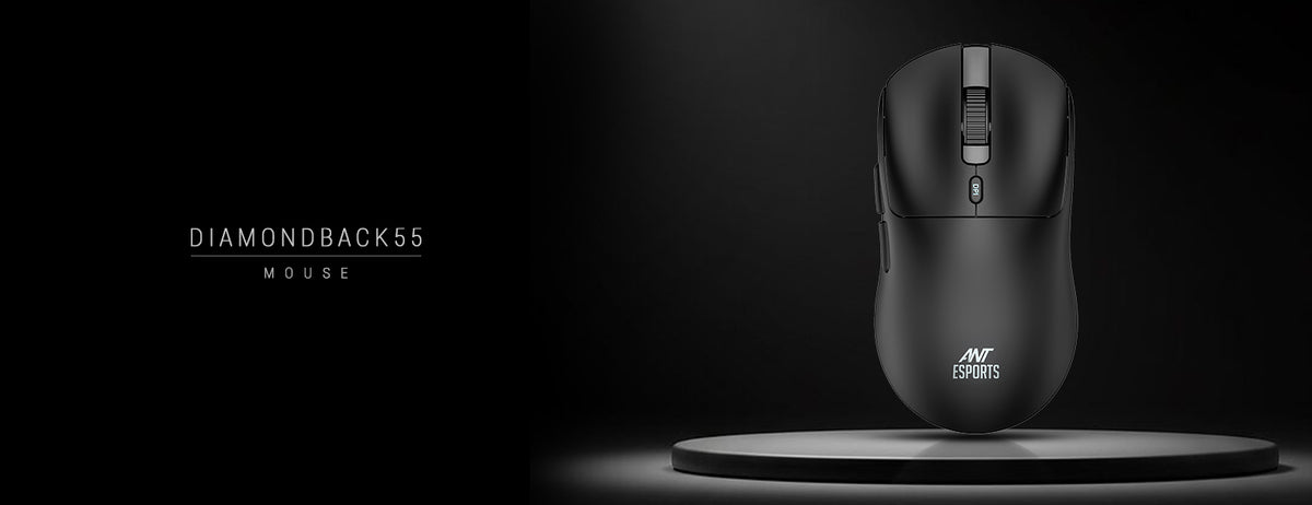 Diamondback 55 Wireless Gaming Mouse - Black