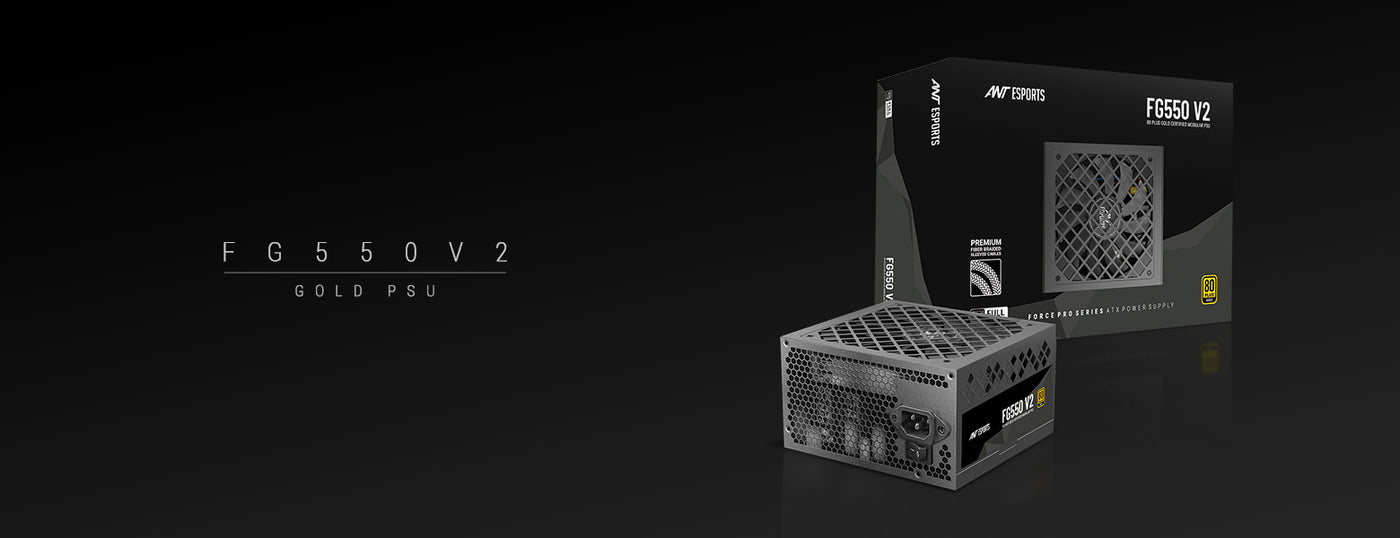 FG550 Gold V2 Power Supply Unit