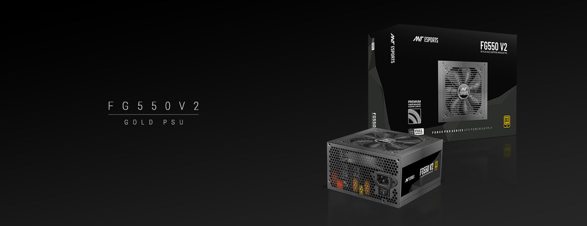 FG550 V2 80 Plus Gold Full Modular Power Supply Unit