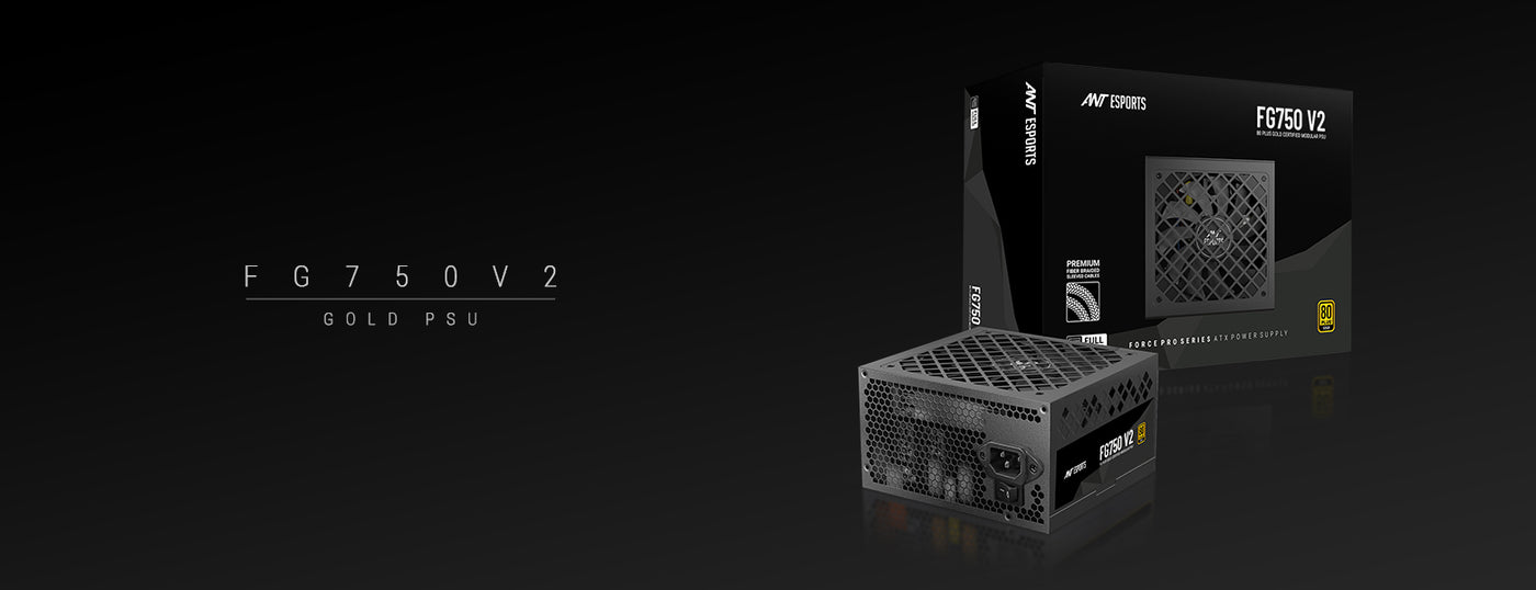 FG750 V2 80 Plus Gold Full Modular Power Supply Unit