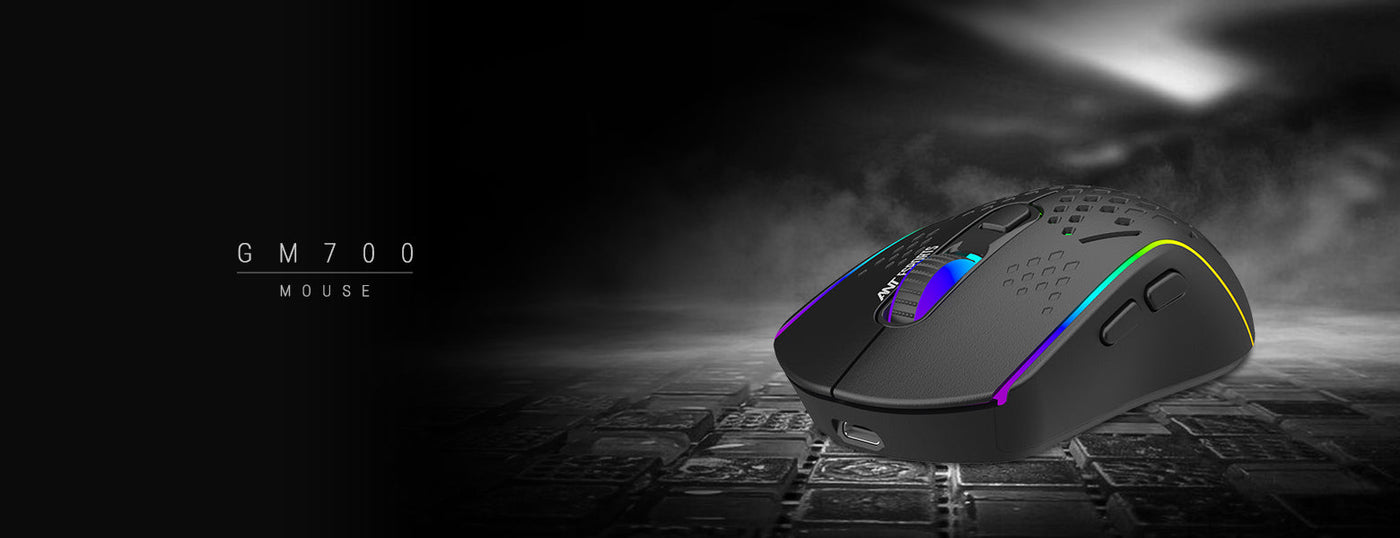 GM700 RGB Wireless Gaming Mouse - Black