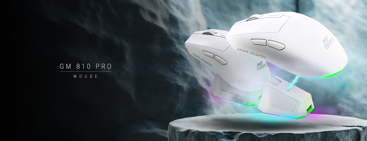 GM810 Pro RGB Wireless Gaming Mouse - White