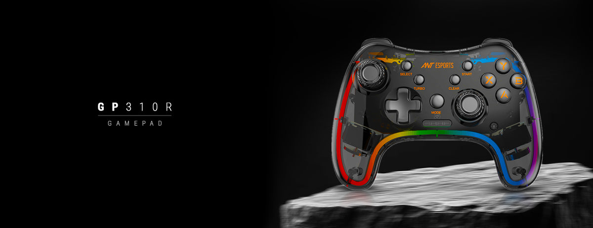 GP310R Wireless Gamepad with Neon RGB - D-Input & X-Input