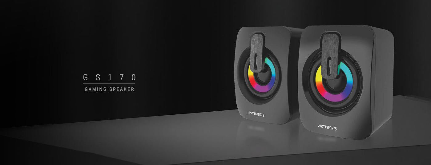 GS170 Gaming Speaker - Black