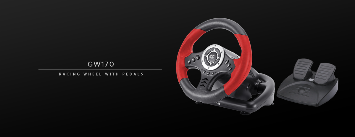 GW170 Competition Racing Wheel with Pedals - Universal