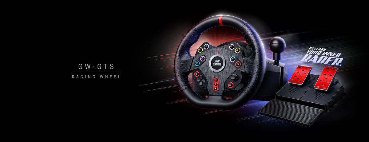 GWGT5 Racing Steering Wheel with Pedals & PS5 Adapter - 270°