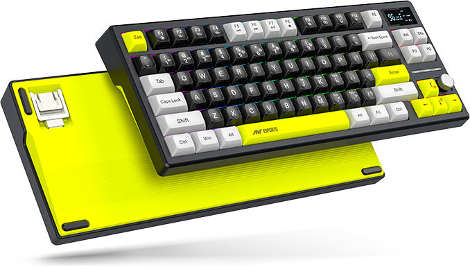 Gaming Keyboards