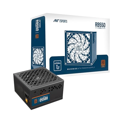 RB550 Non Modular High Efficiency Power Supply/PSU with 120mm Silent Fan for Efficient Heat Dissipation
