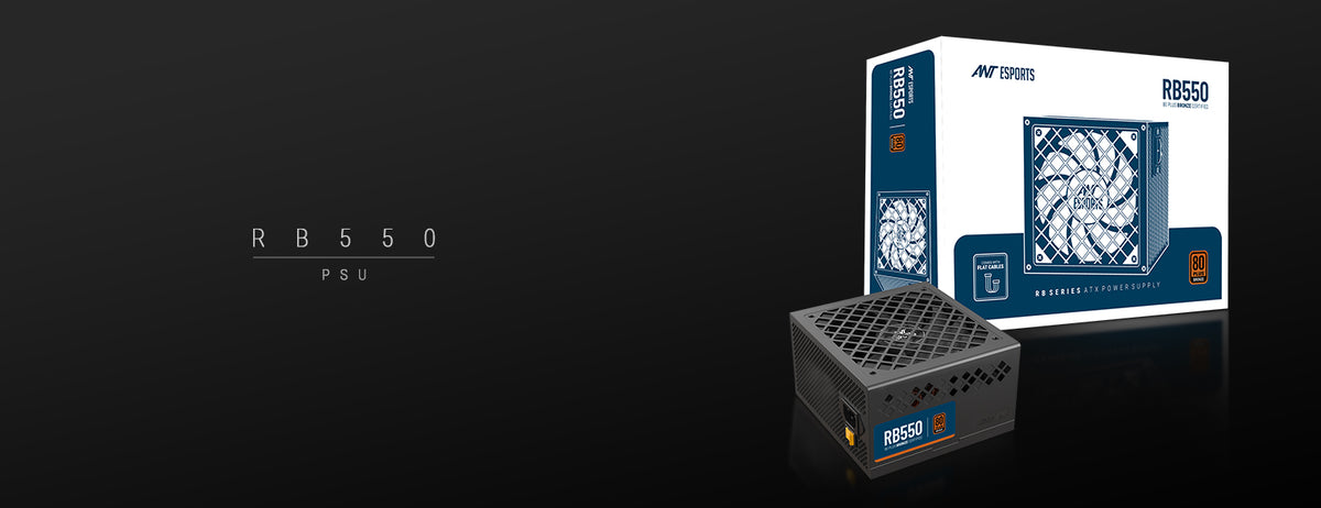 RB550 Non Modular High Efficiency Power Supply