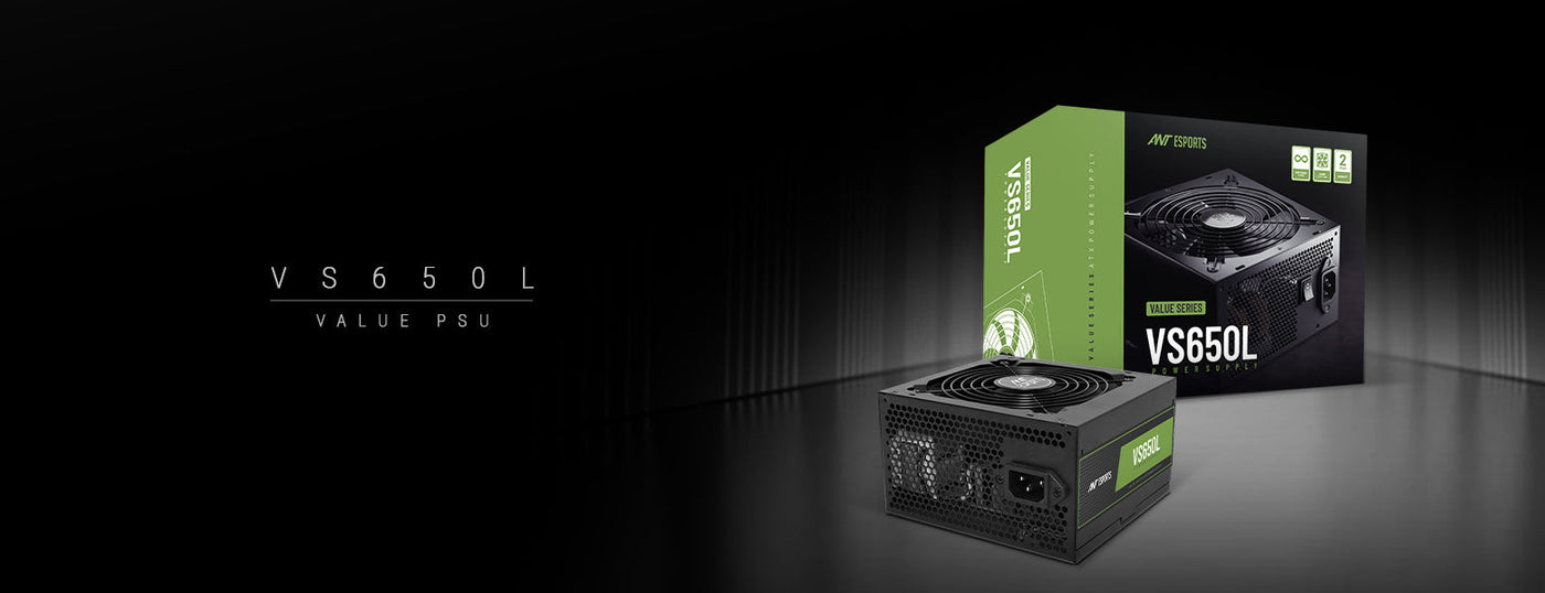 VS650L Power Supply Unit