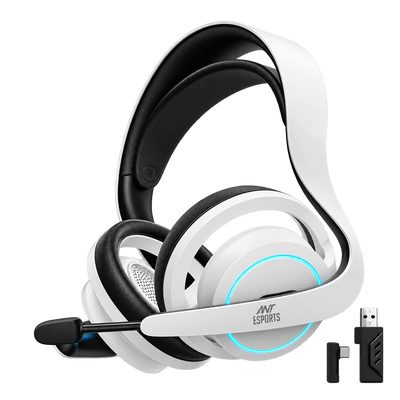 Stealth 50 Open-Back Wireless Headset -  Black