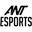 Ant Esports Official Store logo